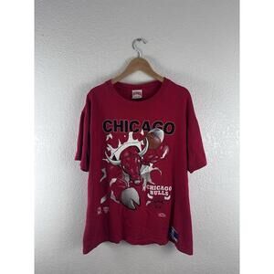 Chicago Bulls Nutmeg L Shirt Big Graphic Double Sided Jordan Era